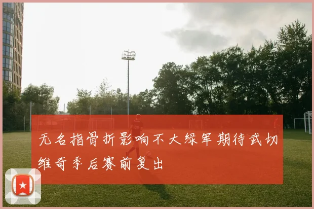 无名指骨折影响不大绿军期待武切维奇季后赛前复出